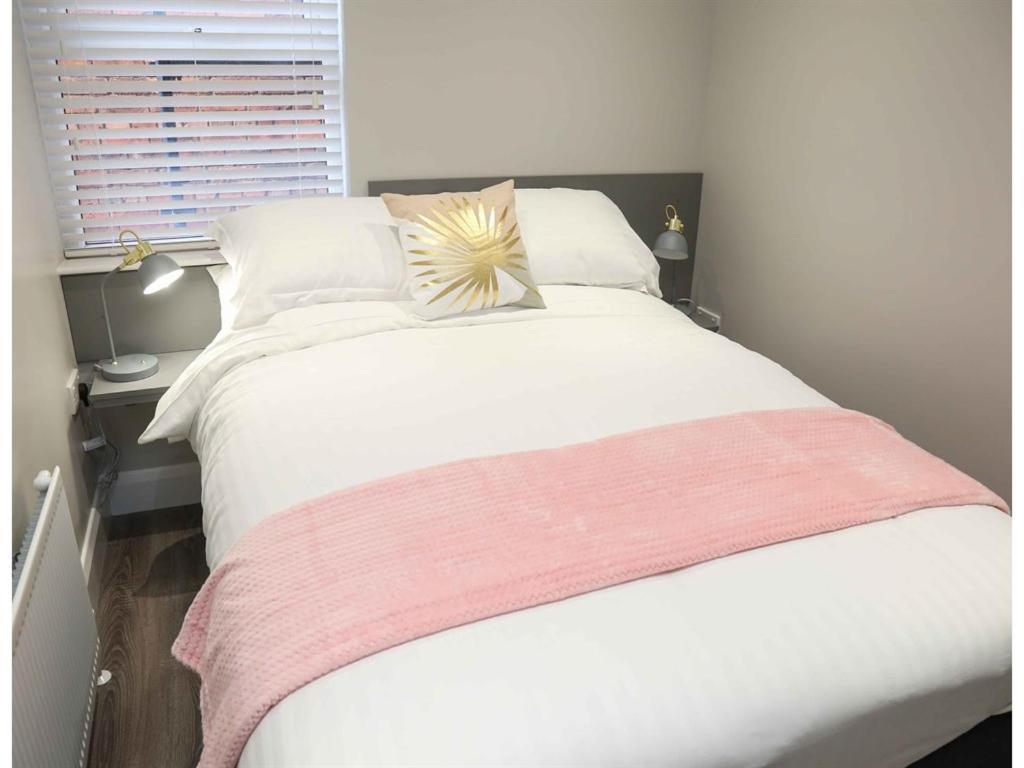 Belfast Serviced Apartments - Eglantine Eksteriør billede